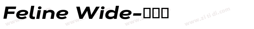 Feline Wide字体转换